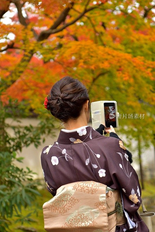 穿着和服的日本妇女在京都拍摄秋叶