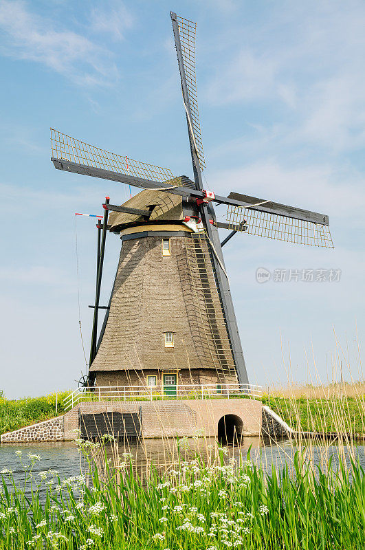 传统的荷兰风车在春天，Kinderdijk，荷兰