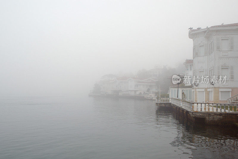 博斯普鲁斯海峡的薄雾，海鸥和高楼大厦