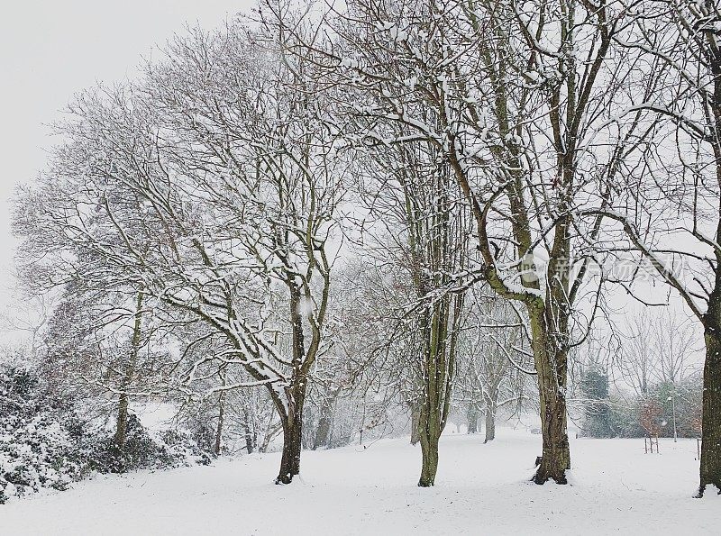 冬季光秃秃的树和雪景在旺蒂奇，一个小市场镇在牛津郡，英国