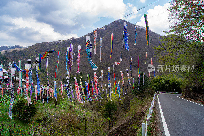 樱花和木纹