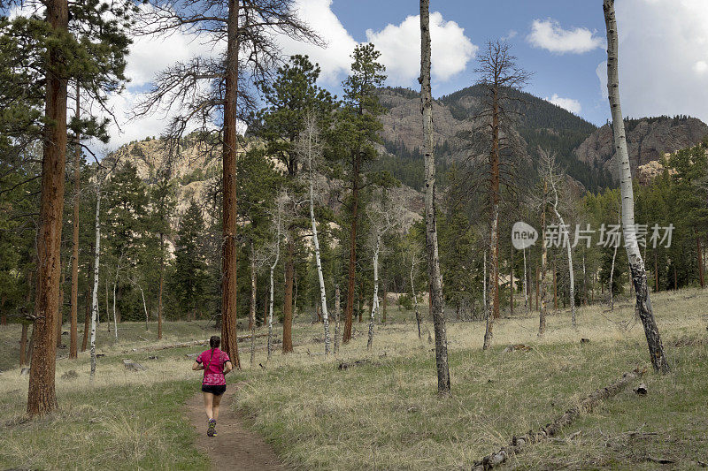 女子trail跑步斯丹顿州立公园森林科罗拉多落基山