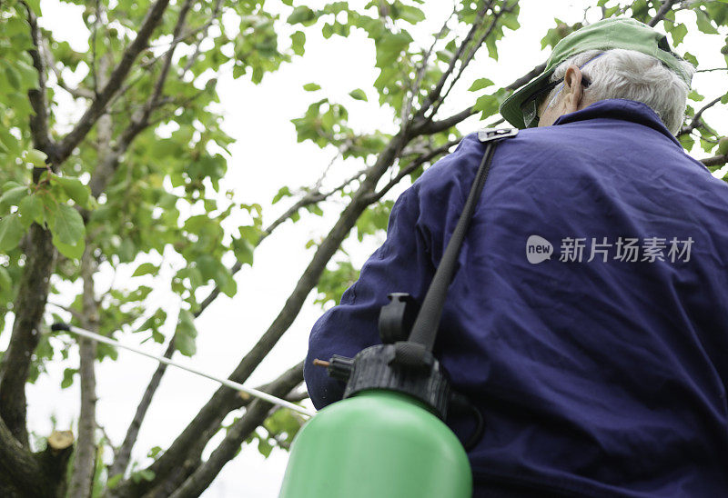 老农民用化学品保护后院的植物