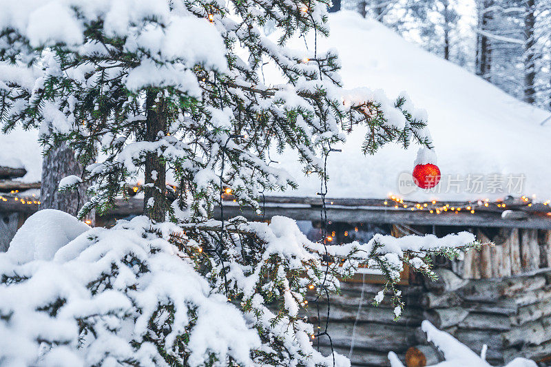 圣诞冷杉树装饰球在雪户外