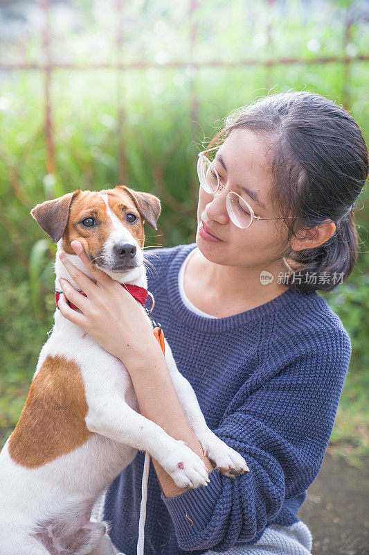 亚洲家庭十几岁的女孩玩好玩的她的宠物杰克罗素梗狗在花园在夏天的早晨