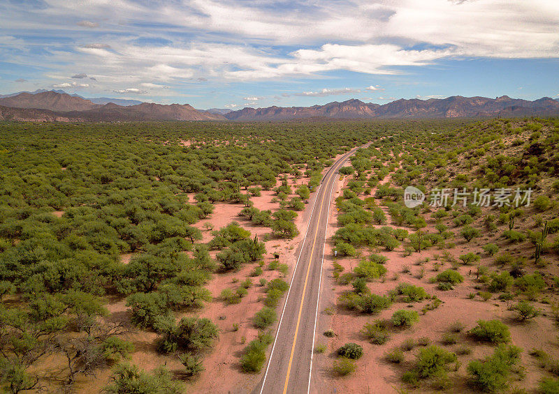 沙漠公路航拍照片