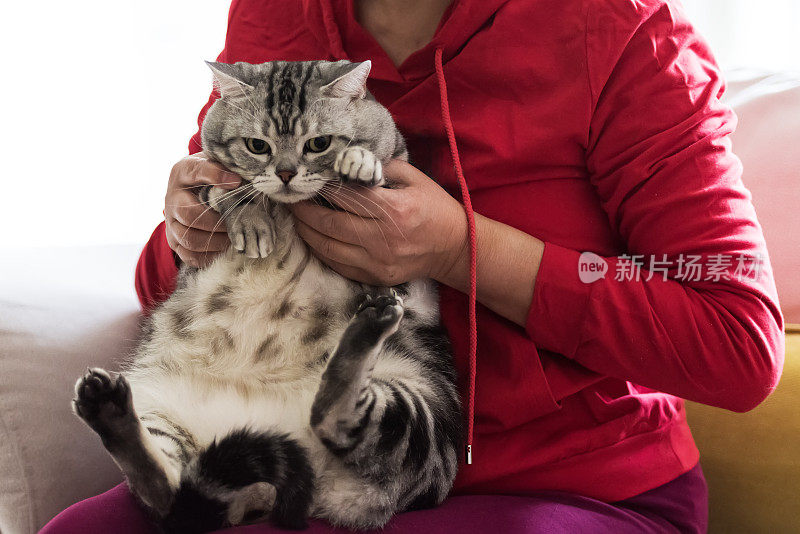 一个女人抱着她的猫