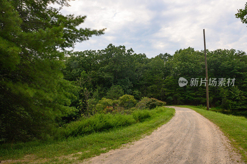 在美国乔治亚州，夏天蜿蜒的乡村道路被郁郁葱葱的绿树环绕
