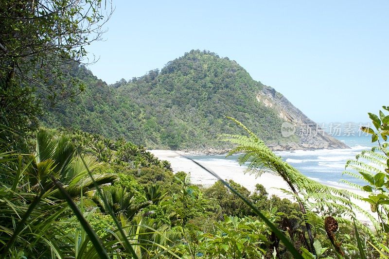 斯科特海滩，希菲轨道，卡拉米亚，西海岸，新西兰