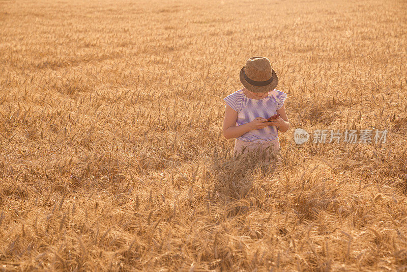 小女孩在麦田里散步，欣赏夕阳