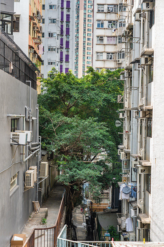 旧社区，香港的公寓大楼