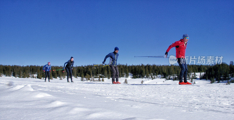 一组四个成年人越野滑雪在一个阳光明媚，冬日在科罗拉多州的山区