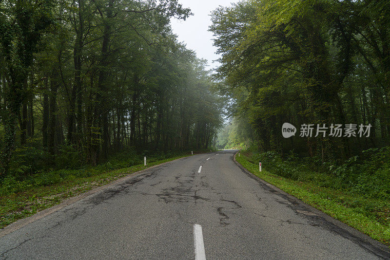 斯洛文尼亚大雾笼罩下的清晨，空无一人的道路