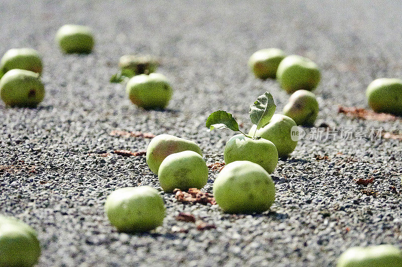 青苹果掉在柏油路上