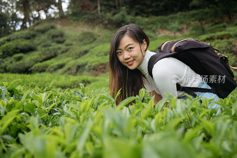 年轻的亚洲女人与背包探索茶园