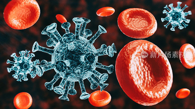 红色的血细胞和病毒在黑色的背景上