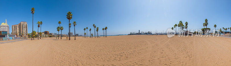 加州长滩棕榈树的海滩全景