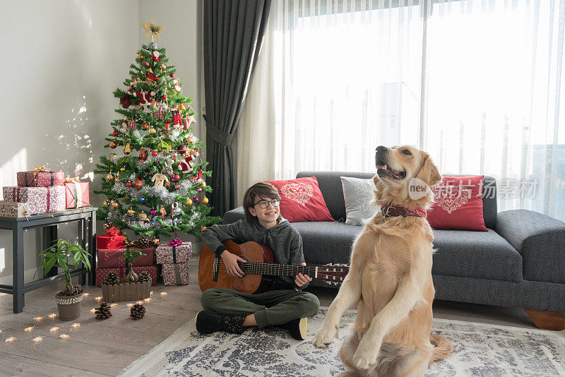 小男孩和她的狗一起弹吉他，坐在室内装饰好的圣诞树旁。