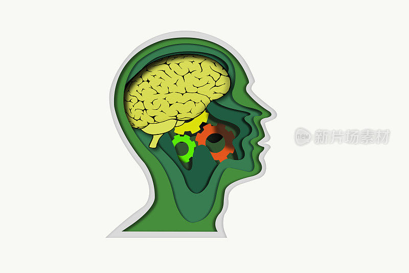 分层纸切人脑内的头部形状，齿轮和齿轮。与剪切路径