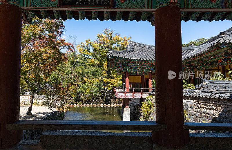 松光沙寺入口处秋叶飘落