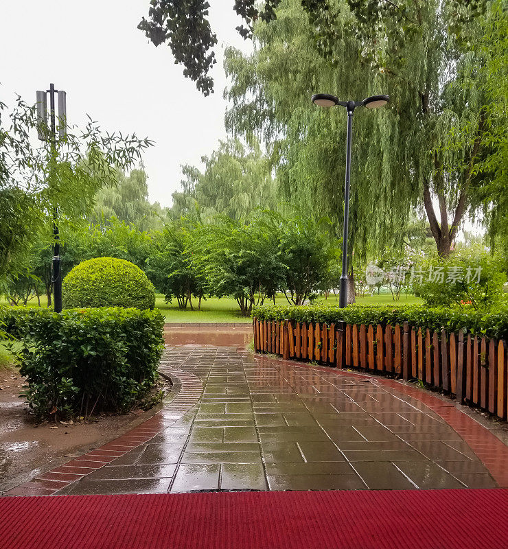 雨后的公园景象