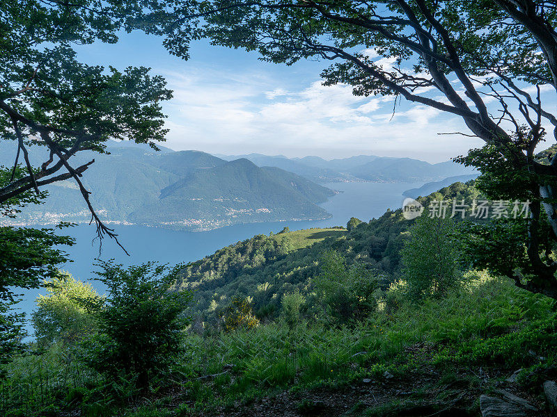 从提契诺的山径看马焦雷湖