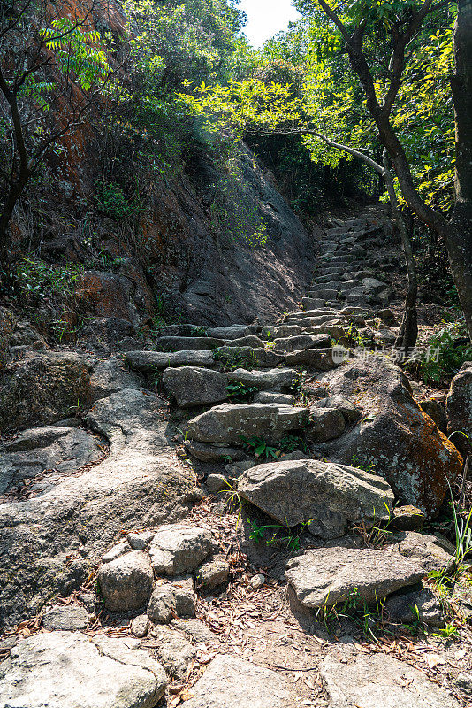 森林山上的石阶