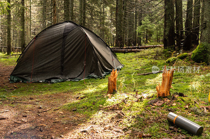 森林里的旅游帐篷。热饮保温瓶。在森林里过夜。在树林里露营。