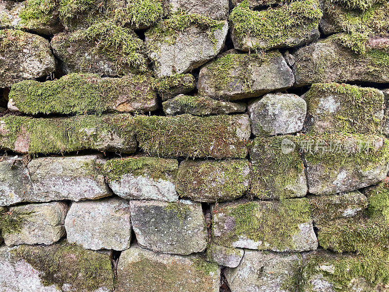 粗糙的石墙上覆盖着苔藓和地衣