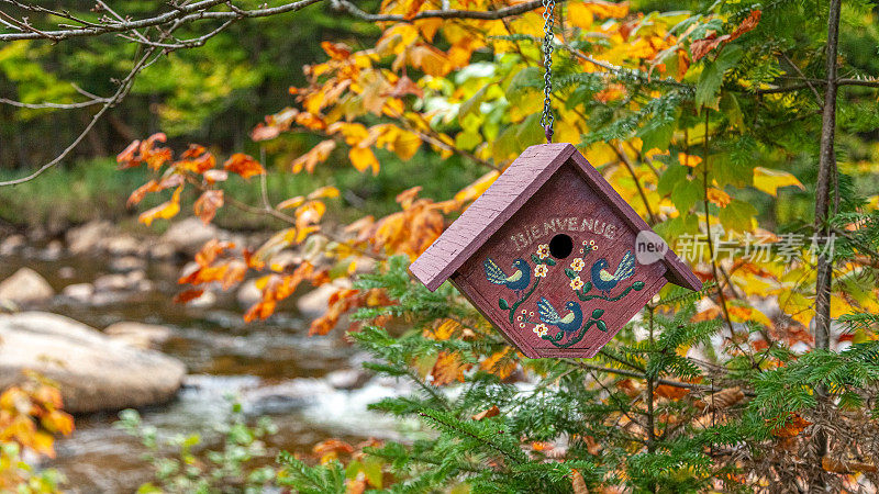 初秋的鸟窝。加拿大魁北克初秋的鸟笼。