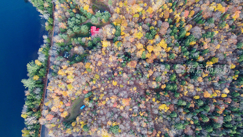 鸟瞰秋天森林里美丽的湖与五颜六色的树。