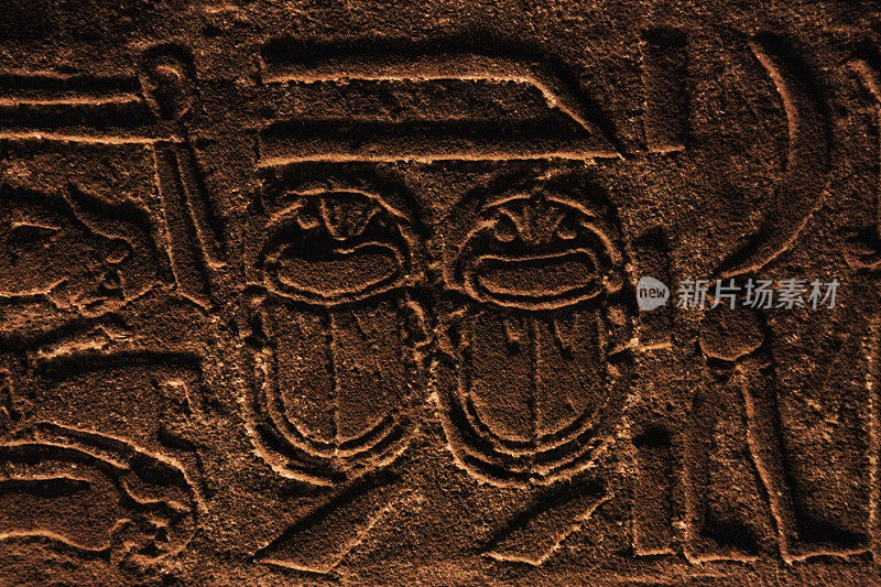 圣甲虫象形文字在埃德福的庙宇，埃及