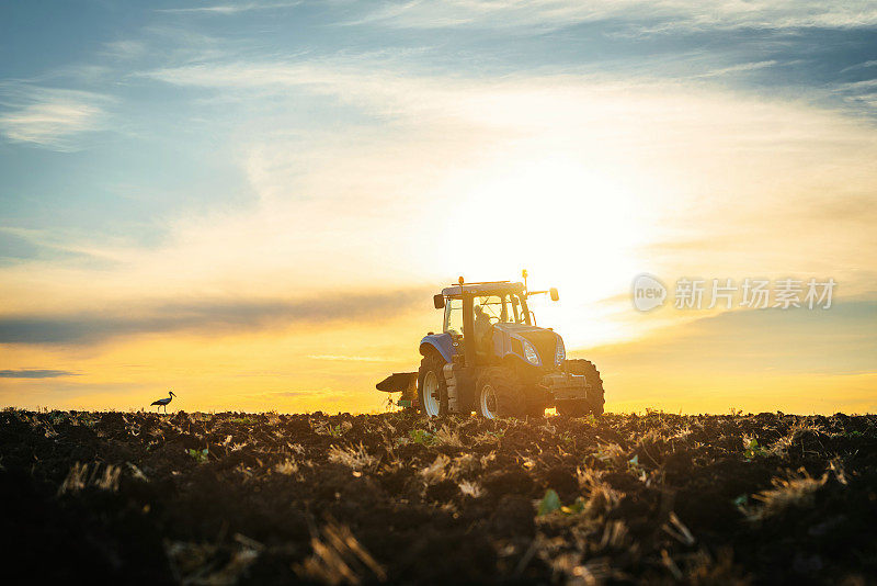 在拖拉机上的农民用苗床耕作机准备土地