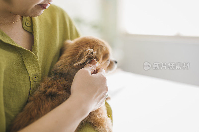 女人温柔地抚摸着狗