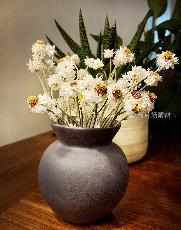 花瓶里的干洋甘菊花