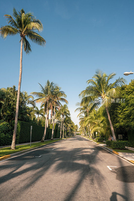棕榈树林立的住宅区和街道与黄金海滩，迈阿密，佛罗里达