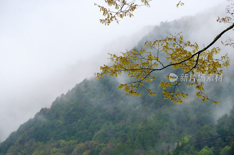 群山笼罩着浓雾和云雾