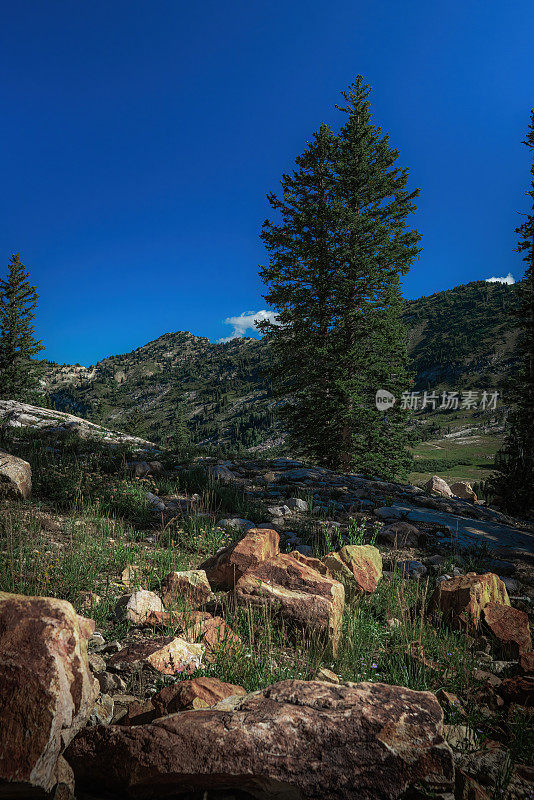 犹他州山区，康涅狄格州。