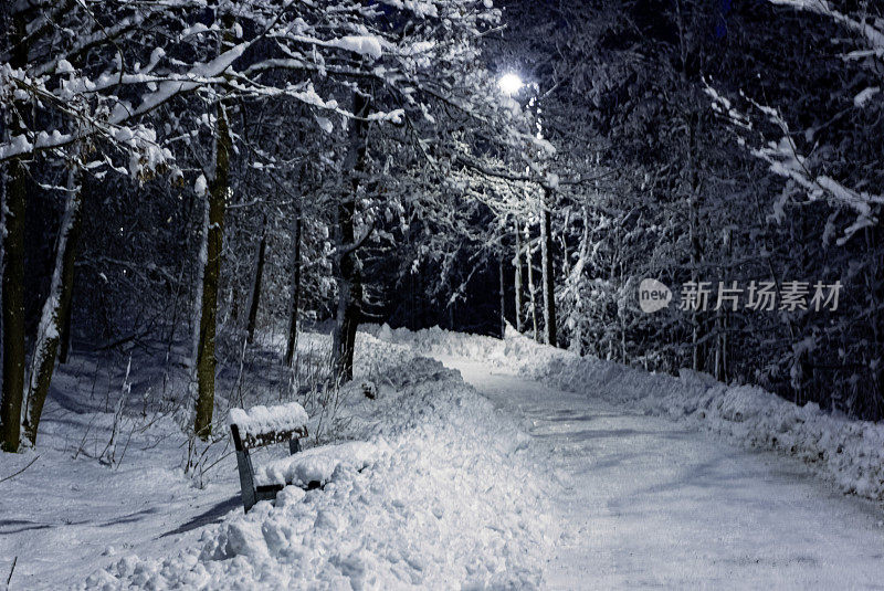 冬天的风景。森林中间的步道和一盏路灯。暮光。