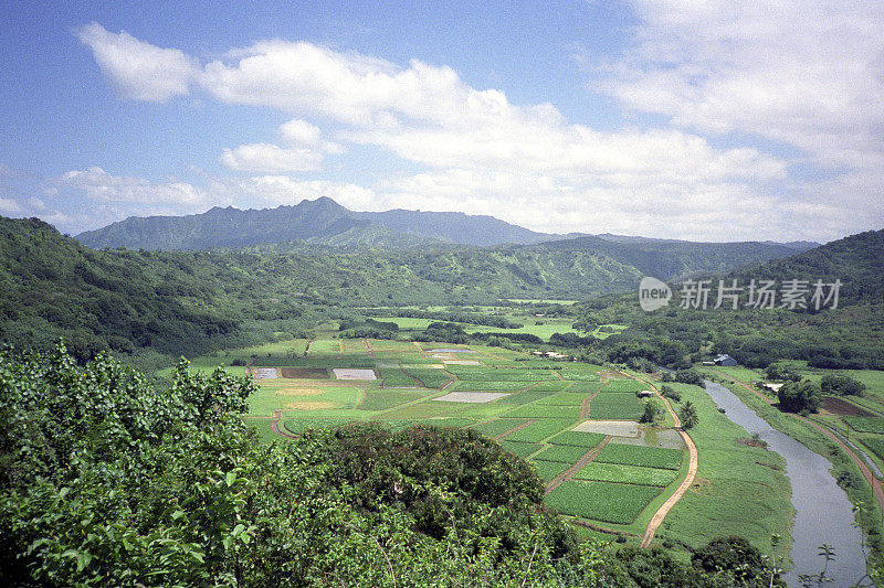 夏威夷农场