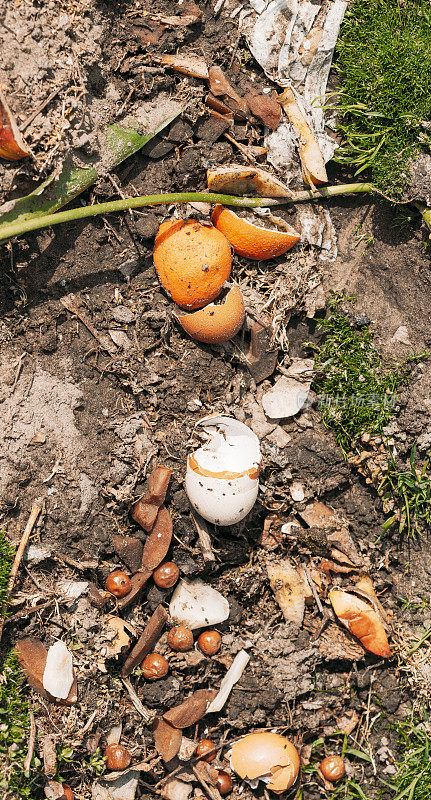 从洒在地上的食物垃圾堆肥，腐殖质，肥料。腐烂的厨房残羹剩饭和水果垃圾垃圾变成了有机肥料。生态食品概念
