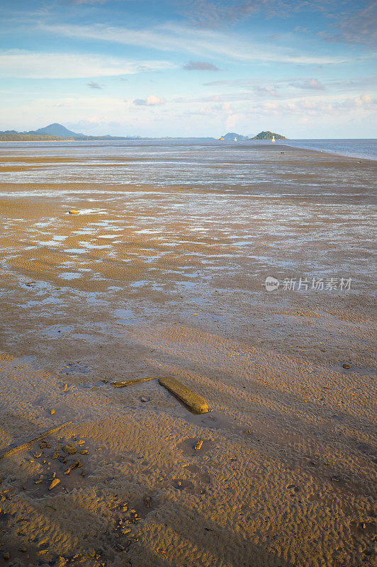 泰国包梦海滩的低潮热带红树林海