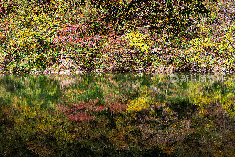 湖边的风景