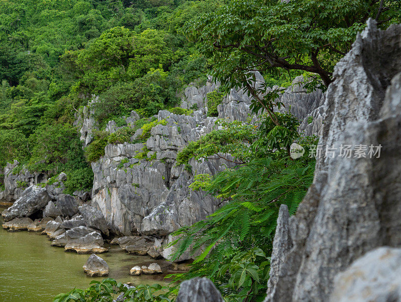 风景石灰岩山脉和杂草丛生的树木，恩赫岛，坚江省