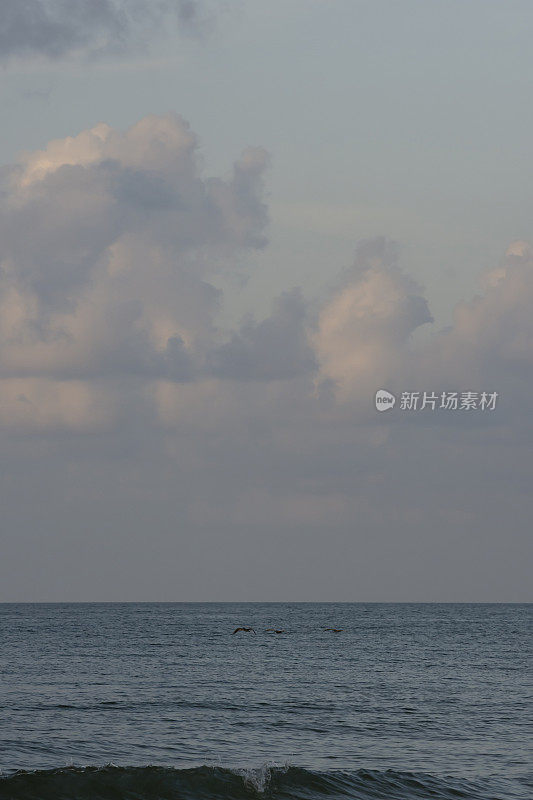 黎明前的光线照在远处的云层上，鹈鹕飞翔，波浪在前景中破碎