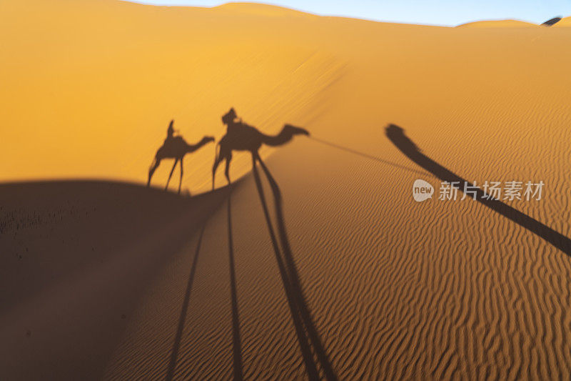 骆驼和人的影子在撒哈拉沙漠，摩洛哥