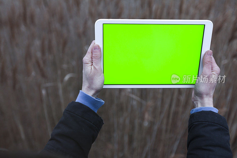女环境研究员在大自然中用绿屏平板电脑拍照