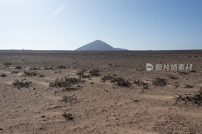 兰萨罗特岛加那利岛上的火山