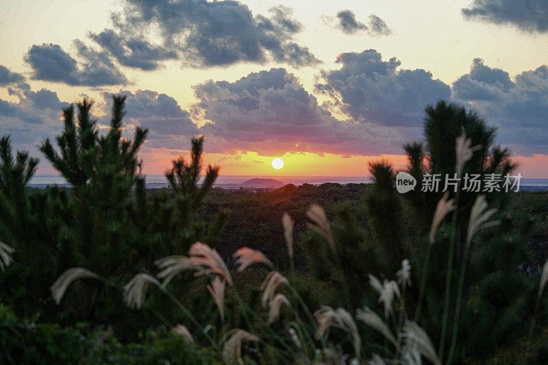 济州日落与芦苇