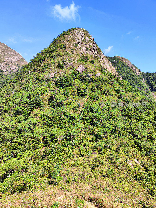 西狗牙，九龙岭，香港